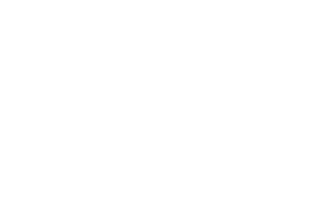Storxie Nexus